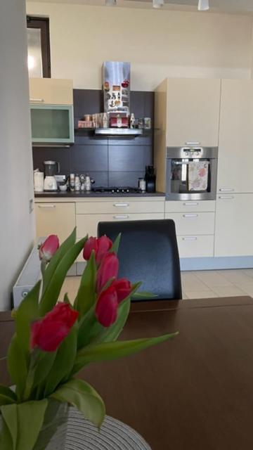 Apartment Marina Rijeka Buitenkant foto